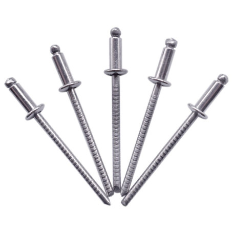 Lot de 100 Rivets Aveugles en Acier Inoxydable 3,2 x 6 mm - Tête Bombée DIN 7337