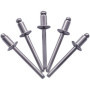 Lot de 50 rivets aveugles en acier inoxydable SKIR'CO - DIN 7337 A2