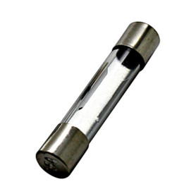 Lot de 10 Fusibles en Verre 40 A - 6 x 30 mm pour Clignotants