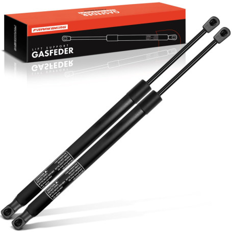 Ressorts à Gaz Hayon Frankberg pour Grand Scénic II - Remplacement Facile