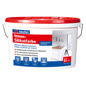 Peinture Silicate Intérieur Baufan 5L - Haute Opacité et Finition Mate