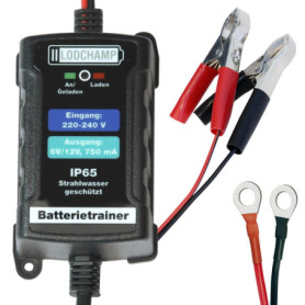 Chargeur de Maintenance IP65 LODCHAMP pour Voiture et Moto - 6V/12V, 750mAh