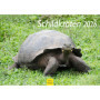 Calendrier mural 2026 Tortues et Animaux Sauvages - Format A3