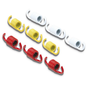 Ressorts d'Embrayage Malossi pour Moteurs 4 Temps Honda et Piaggio 125-300Cc