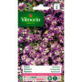 Alysse Violet Vilmorin - Plante Fleurie Compacte pour Jardin
