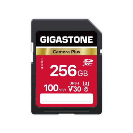 Carte Mémoire SDXC Gigastone 256Go V30 Haute Vitesse pour Appareils Photo