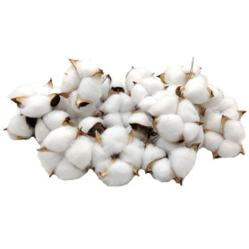 Boules de Coton Naturelles Aisamco - 30 Pièces pour Décoration Artisanale