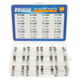 Kit de Fusibles en Verre BOJACK - 60 Pièces Assorties 6x30 mm 250V