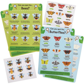 Fiches d'information autocollantes Abeilles et Papillons - Lot de 4