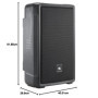 Enceinte JBL IRX112BT Portable avec Bluetooth 12 pouces