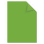 Kangaro Lot de 50 Feuilles de Papier A4 Vert Clair 160 g/m² FSC