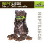 Reptiliège - Assortiment de Liège Naturel pour Terrarium - 10 Litres