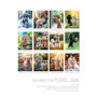 Calendrier mural caniche 2026 - Edition Seidel A3