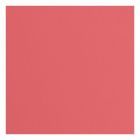 Papier Cartonné Rouge Rugueux Florence - 30,5 x 30,5 cm - 20 Feuilles