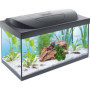 Tetra Starter Line LED - Aquarium Complet 54L avec Éclairage et Filtration