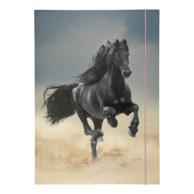Chemise à Rabats A3 Folia Basic Black Horse en Carton avec Élastique