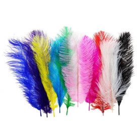 Lot de 10 plumes d'autruche multicolores pour créations artistiques - 25 à 30 cm