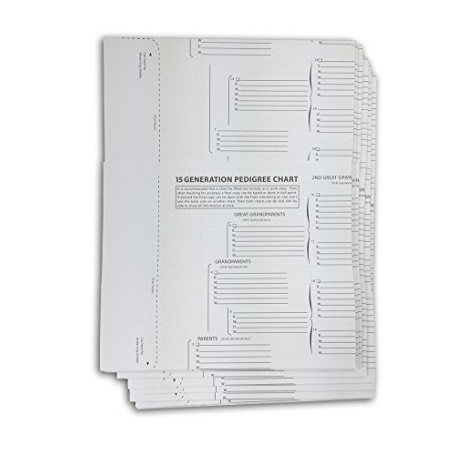 TreeSeek 15 Générations - Lot de 5 Formulaires de Généalogie