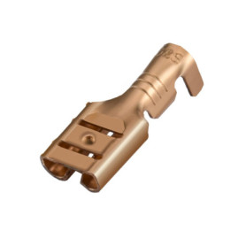 Heschen Lot de 100 Cosses à Sertir Femelle Non Isolées 6,3 mm