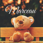 Album de Naissance Personnalisé Marceau - Souvenirs et Photos