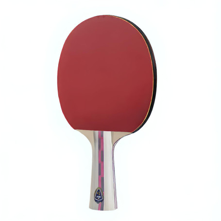 Raquette de Ping Pong 2 Étoiles Performance - Idéale pour Débutants et Amateurs