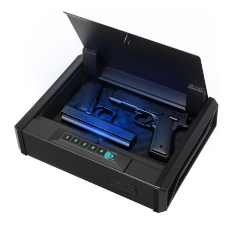 Coffre-Fort VEVOR pour 2 Pistolets avec Accès Sécurisé