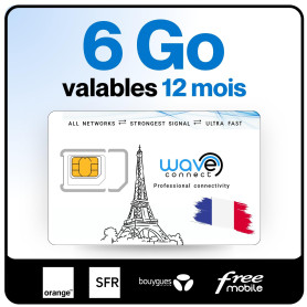 Wave Connect SIM Données France 4 Réseaux, 6 Go valables 12 Mois, Bouygues, Free, Orange, SFR, 4G, 5G, Prépayée, Active dès La P