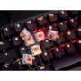 Kit de Commutateurs Mécaniques CHERRY MX Falcon - 36 Switches Tactiles