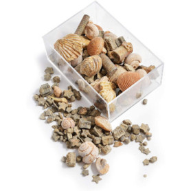 Coffret Éducatif Fossiles et Roches pour Enfants - Kit de Découverte Géologique