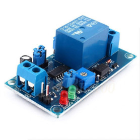 Module de relais de temporisation 12V avec activation automatique