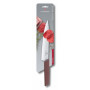 Couteau à Trancher Professionnel Victorinox Swiss Modern - Lame 22 cm Raisin Rouge