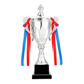 Trophée d'Argent Povxlum 30 cm pour Compétitions Sportives