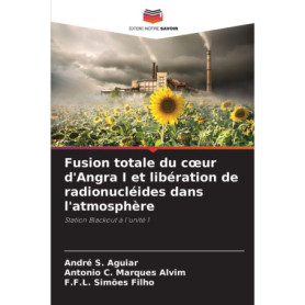 Fusion Totale du Cœur d'Angra I et Libération de Radionucléides