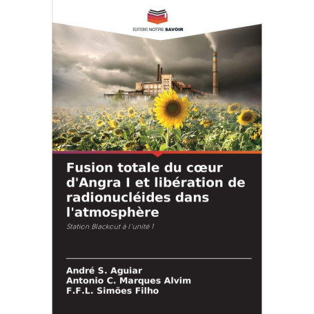 Fusion Totale du Cœur d'Angra I et Libération de Radionucléides