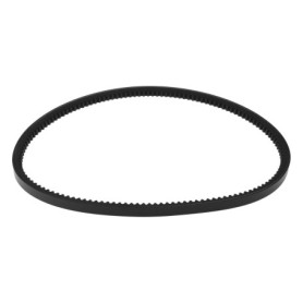 Courroie d'Entraînement EMSea pour Scarificateur Camon LS42 - 13x8x762 mm