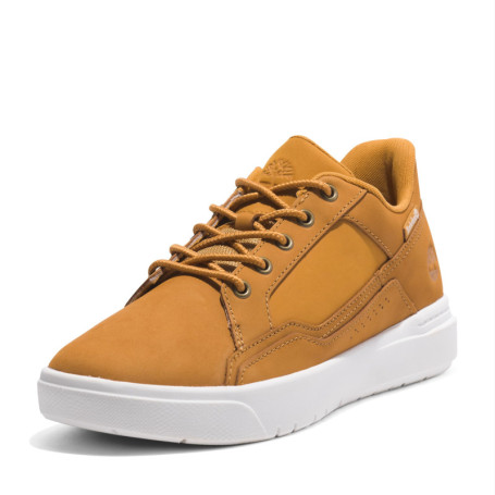 Sneakers Timberland Allston Low en Cuir pour Homme - Confort et Style Urbain
