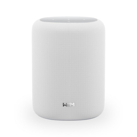 WiiM Sound Lite - Haut-Parleur Intelligent Hi-Res avec AI RoomFit™