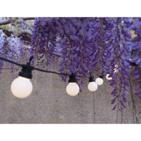 Guirlande Guinguette Lumineuse Extérieure 20 Lampes LED Blanches 6m - Étanche IP44