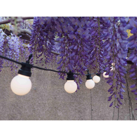 Guirlande Guinguette Lumineuse Extérieure 20 Lampes LED Blanches 6m - Étanche IP44