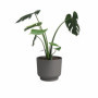 Pot de Fleur Miami 30 cm Anthracite - ARTEVASI