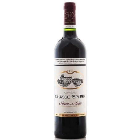 Château Chasse-Spleen 2021 - Vin Rouge de Bordeaux Moulis en Médoc