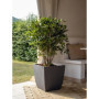 Pot de Fleurs Carré Haut Diva Basalt - 42 L - Gris Anthracite