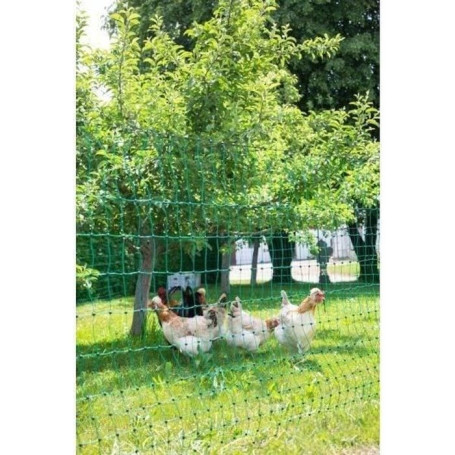 Filet de Protection Vert pour Poules - 25 m avec Double Pointe