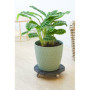 Support de Pot Roulant Anthracite - NATURE - Ø38 cm