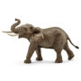 Figurine Éléphant d'Afrique Mâle - Schleich Wild Life