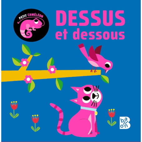 Petit caméléon - Dessus et dessous