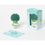 Coffret Les amis grigris / brocoli