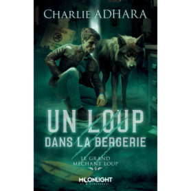 Un loup dans la bergerie