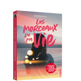 Les morceaux de ma vie