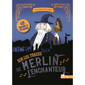 Sur les traces de Merlin l'enchanteur